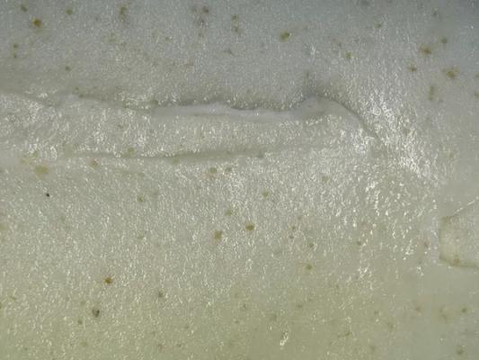 Feijoa Sorbet