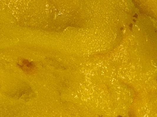 Mango Sorbet